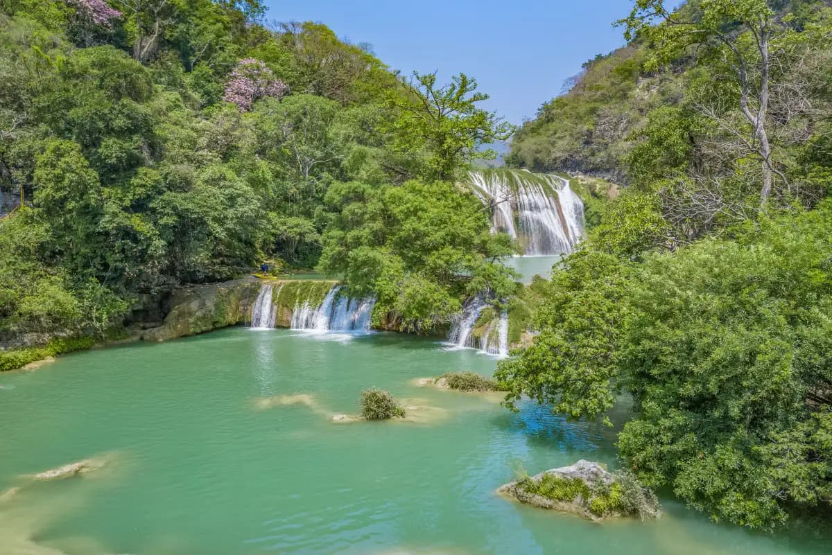 Cascadas escalonadas de Micos en la Huasteca Potosina