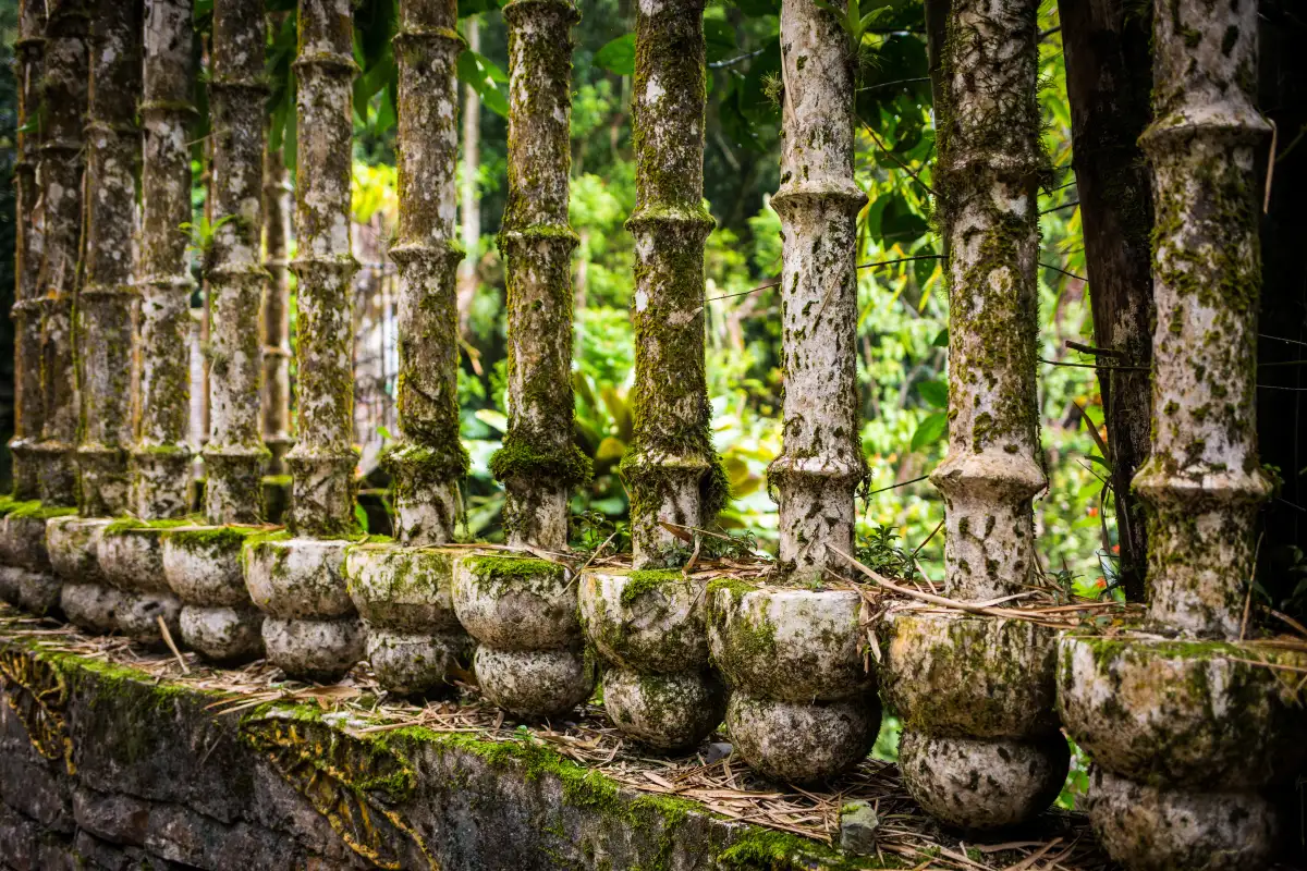 Columnas del Jardín Edward James en Xilitla
