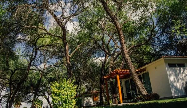 Hotel Los Lirios