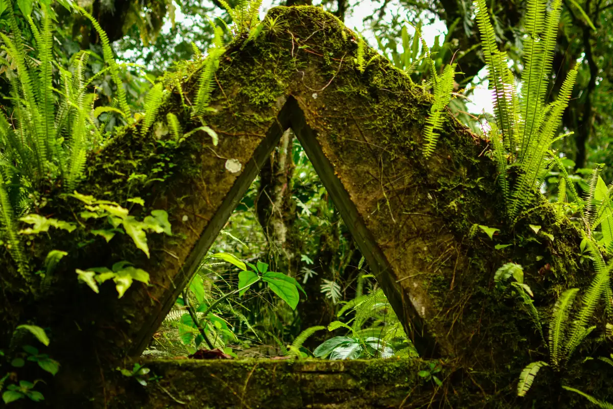La Trinidad - Bosque de Niebla de Xilitla
