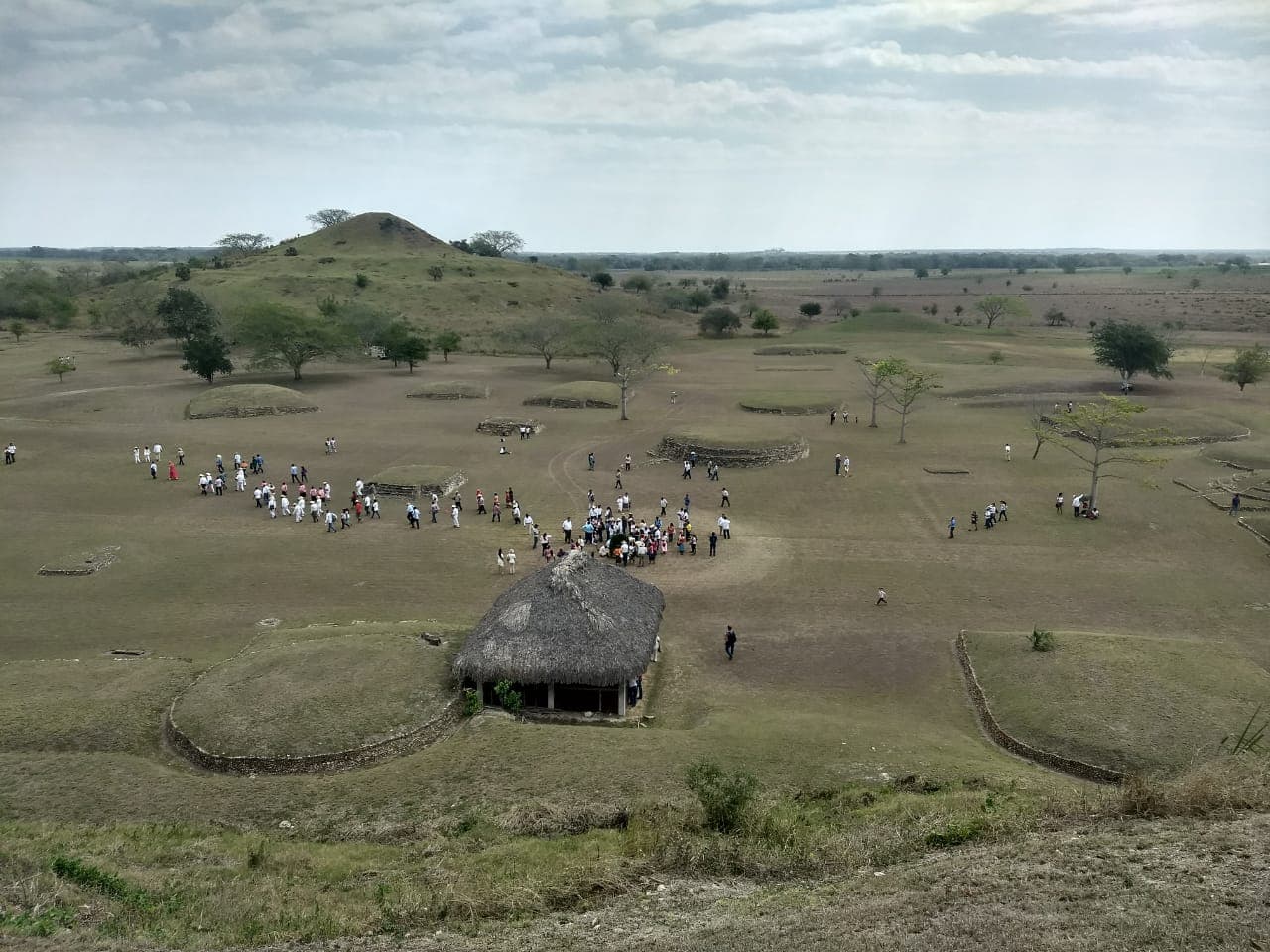 Tamuín