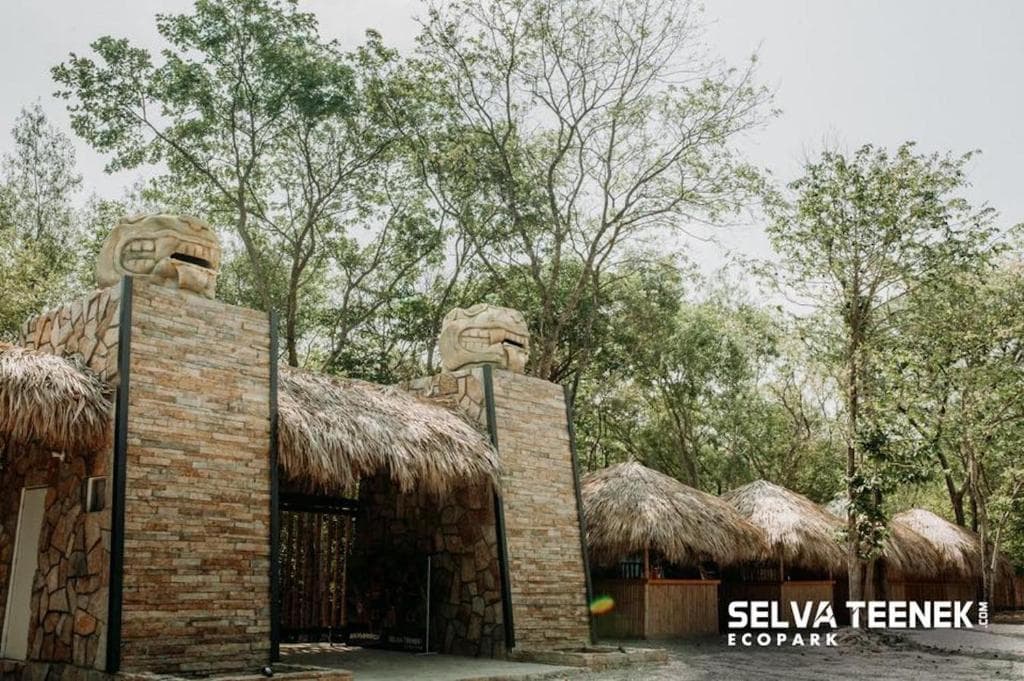 Selva Teenek Ecopark - UMA De Felinos