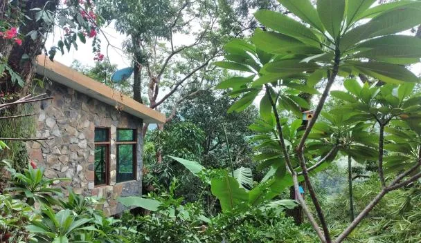 Casa Musgo