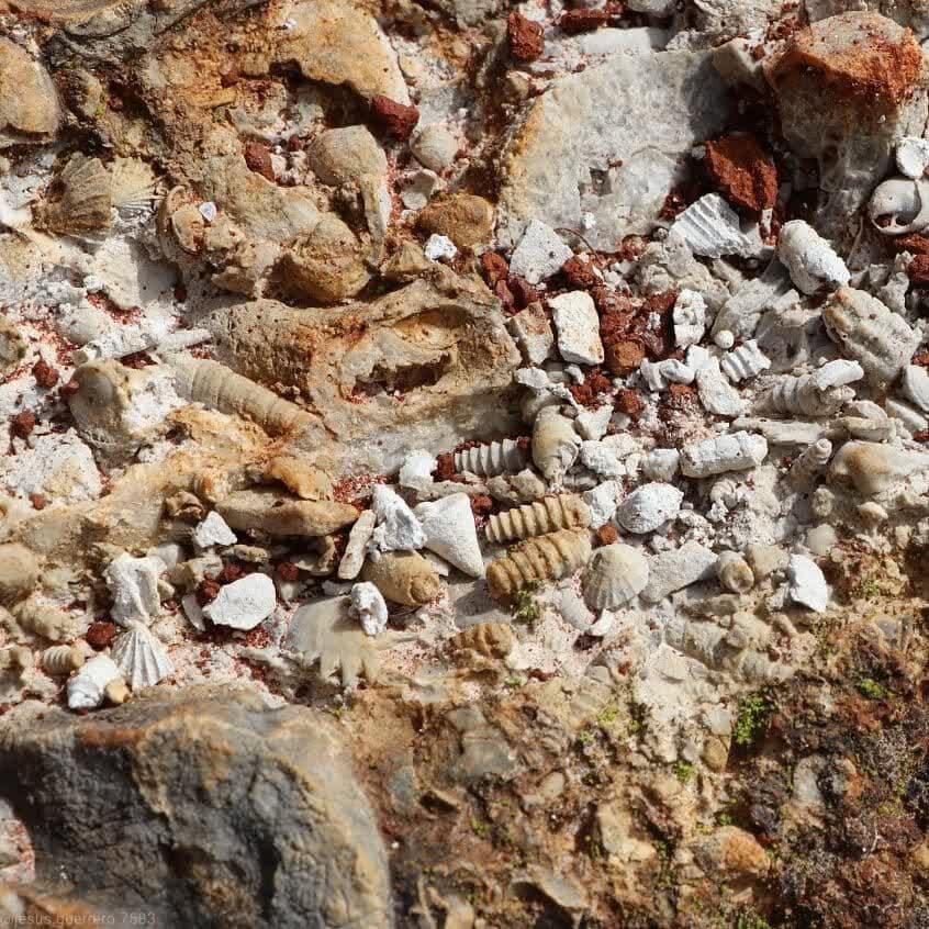 INICIAN TANDEO DE RIEGO EN CUENCA DEL RÍO VALLES
