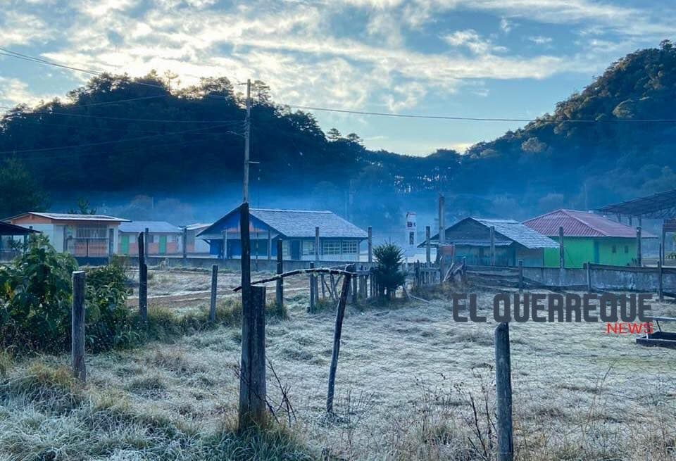 Delicias gastronómicas en Ciudad Valles: Descubre qué comer en este destino de la Huasteca Potosina