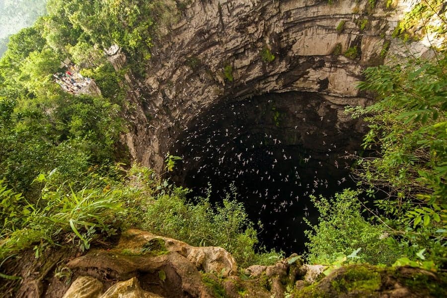 Guía Definitiva para Explorar el Sótano de las Golondrinas: Horarios, Tips y Secretos
