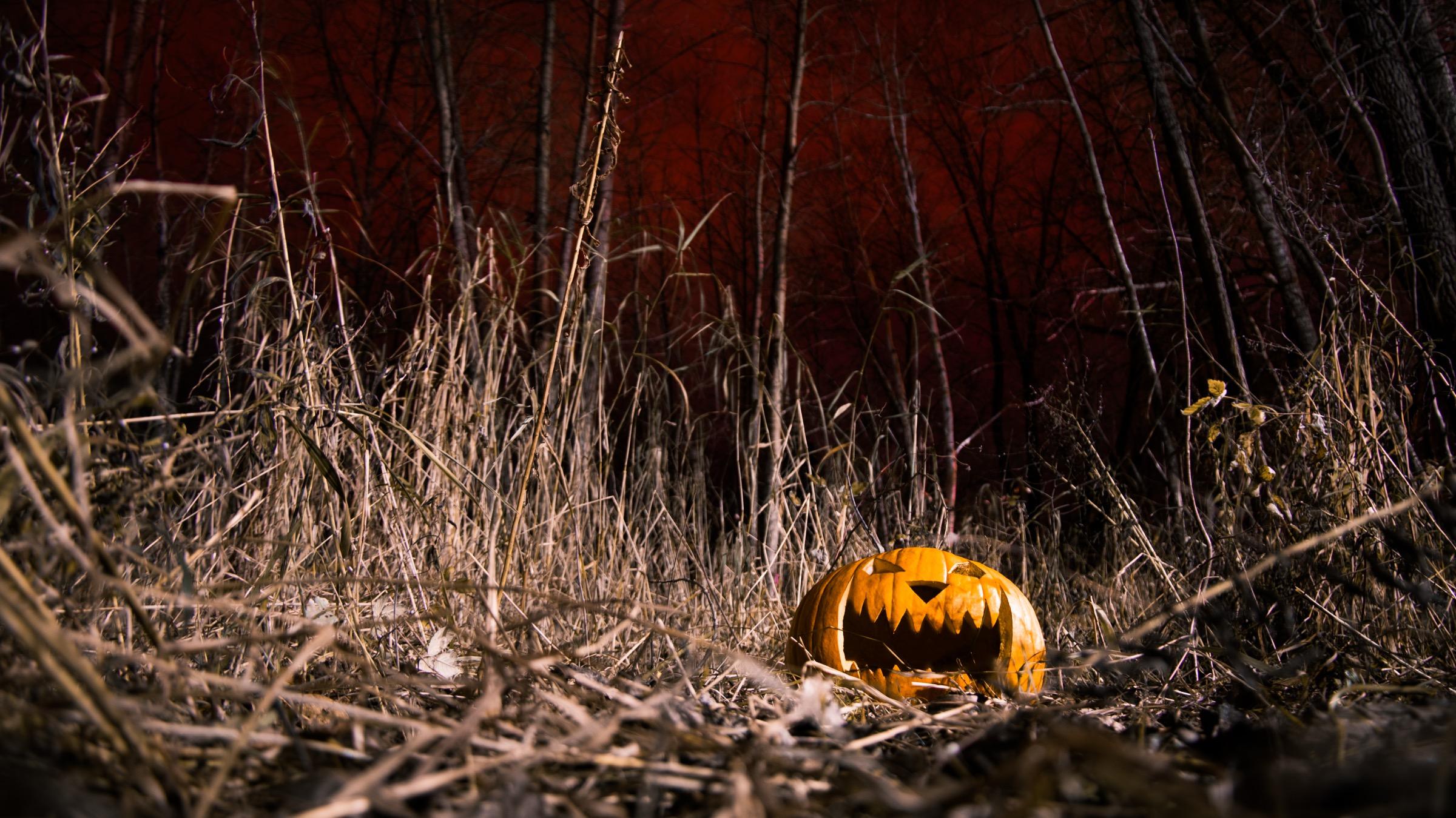 Jack-o-lantern iluminada en un campo oscuro: el símbolo de Halloween que espanta a los espíritus. Foto: 0x010C, Wikimedia Commons, CC BY-SA 4.0