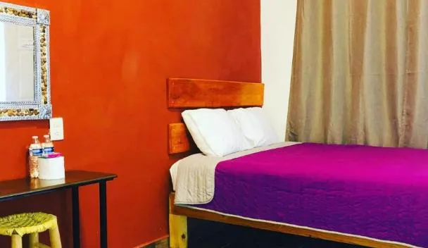 Hotel Pedregal