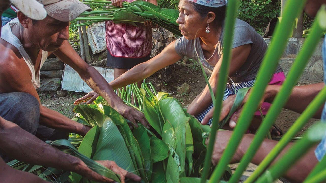Disfruta los Sabores de la Huasteca con este Documental