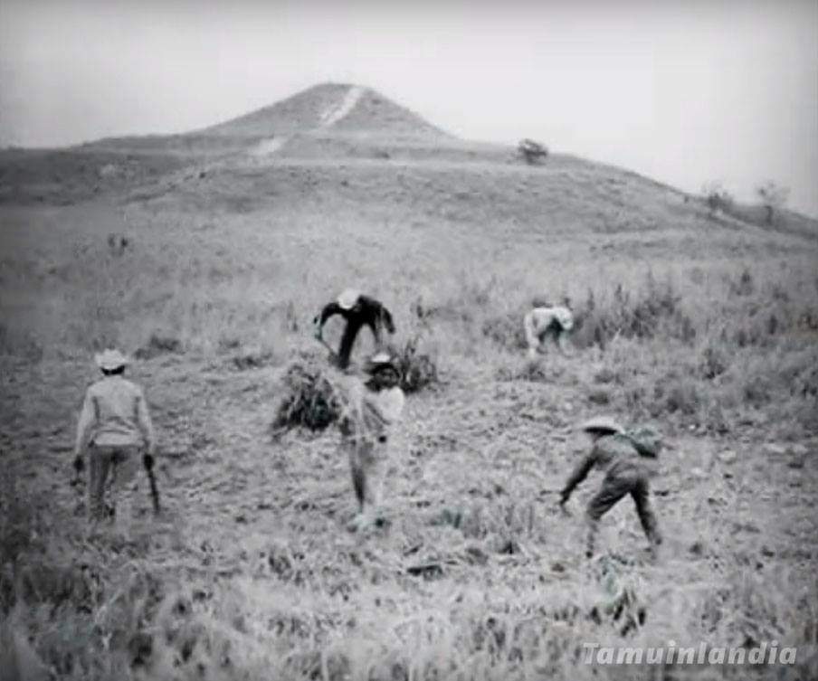 Explorando la Antigua Cultura Tének en la Región Huasteca