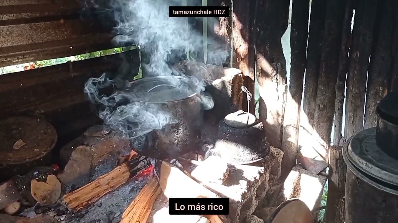 ¡Deliciosos platillos de la Huasteca Potosina!