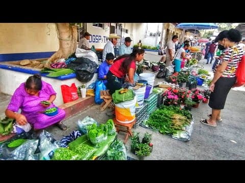¡Maravilloso Tianguis en la Huasteca Potosina! Encuentra todo lo que necesitas